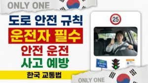 한국 운전자를 위한 도로 안전 규칙